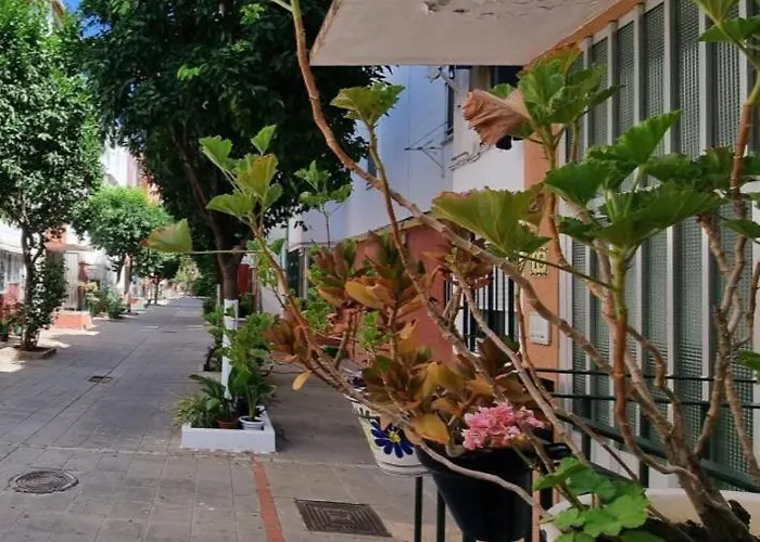 Apartamento Triana